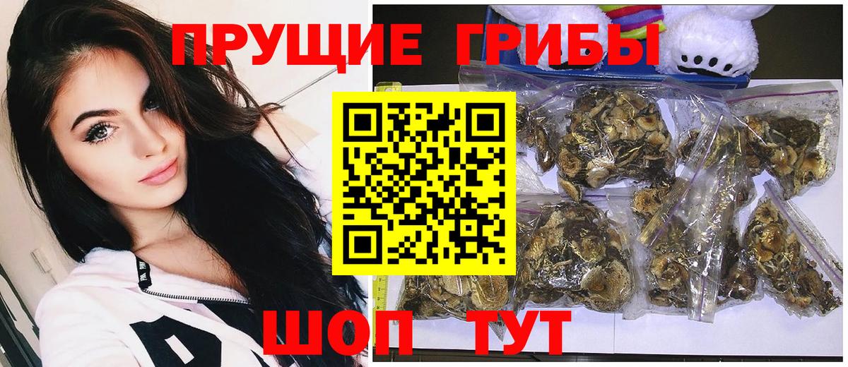 Псилоцибиновые грибы Psilocybe  Псилоцибиновые грибы Magic Shrooms  сколько стоит  Улан-Удэ  Вход с VPN 