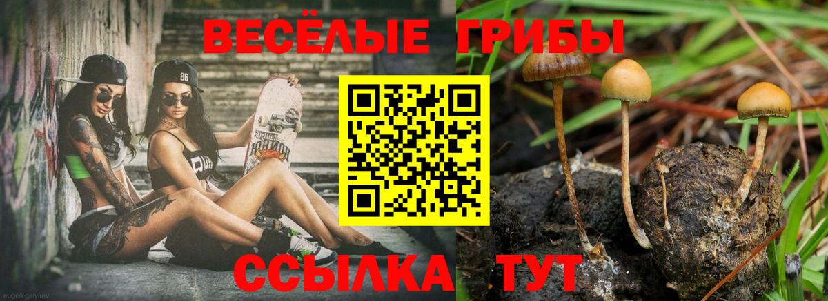 Псилоцибиновые грибы Magic Shrooms Улан-Удэ